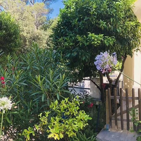 公寓 T2 En Rez-de-jardin Fleur De Sel Saint-Raphaël