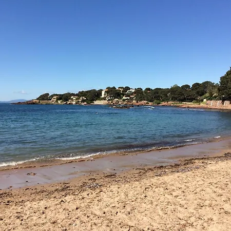 T2 En Rez-de-jardin Fleur De Sel 아파트 Saint-Raphaël