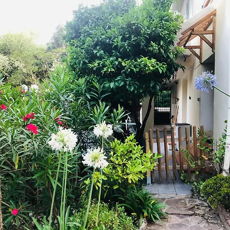 T2 En Rez-de-jardin Fleur De Sel Apartment Saint-Raphael (Var)