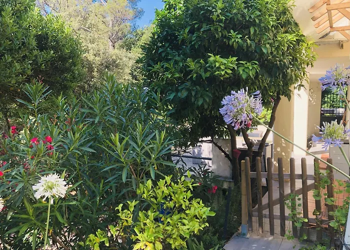 Daire T2 En Rez-de-jardin Fleur De Sel Saint-Raphaël